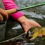 Redington Fly Fishing Combo Kit 5WT Vice Outfit