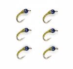 Olive Chart Zebra Midge Tungsten Nymphs for Trout