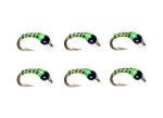 Zebra Midge Tungsten Nymphs - Trout Fishing Flies