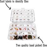 Trout Fly Box with Assorted Dry Flies & Nymphs