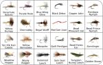 Trout Fly Box with Assorted Dry Flies & Nymphs
