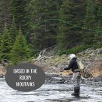 Trout Fly Box with Assorted Dry Flies & Nymphs