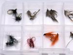 Trout Premium Nymph Fly Assortment - 20 Flies