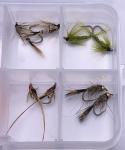 Trout Premium Nymph Fly Assortment - 20 Flies