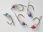 Rainbow Warrior Tungsten Nymphs for Trout Fishing