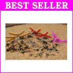 Hand-Tied Tungsten Nymphs – 60 Trout Flies