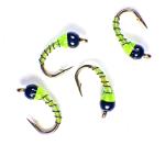 Chartreuse Zebra Midge Tungsten Nymphs - Trout Flies