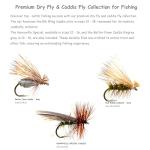 Outdoor Planet 50 Premium Trout Fishing Flies Assortment