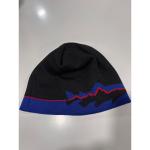 Patagonia Trout Mountain Scene Beanie Hat