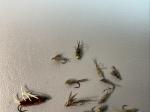 15 Nymph Trout Flies for Fly Fishing