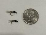 Hand-Tied WD40 Nymphs - 6 Pack, Size 14