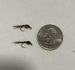 Hand-Tied WD40 Nymphs - 6 Pack, Size 14