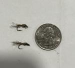 Hand-Tied WD40 Nymphs - 6 Pack, Size 14