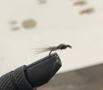 Hand-Tied WD40 Nymphs - 6 Pack, Size 14