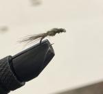 Hand-Tied WD40 Nymphs - 6 Pack, Size 14