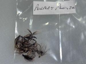 Assorted Fly Fishing Flies and Nymphs