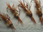 Irideus Dragon Nymph Flies for Trout Fishing
