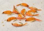 12 Orange Scuds Nymph Fishing Flies with Hooks