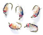 Rainbow Scud Tungsten Nymphs for Trout Fishing