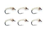 UV White Zebra Midge Tungsten Nymphs for Trout
