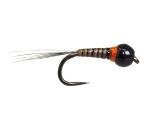 Tungsten Bead Perdigon Nymphs Fly Assortment