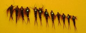 Flashback Stone Fly Nymphs for Trout Fishing