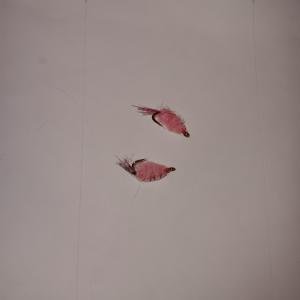 12 Pack of Pink Scud Nymphs Size 14