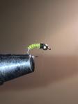 4 Green Caddis Larvae Beadhead Nymph Flies Size 16