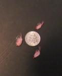 12 Scud Pink Nymphs Size 12 for Trout Fishing
