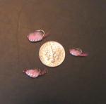 12 Scud Pink Nymphs Size 12 for Trout Fishing