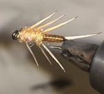 Perla Stonefly Nymphs Tan Size #12 (12 Pack)