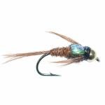 Flash Back Pheasant Tail Nymph Flies - Size 18