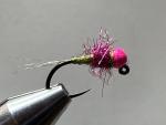Euro Nymph Fly Assortment - 3 Dozen, Size 12