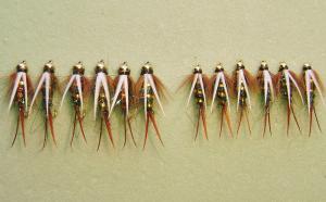 Electric Prince Nymph Bead Head Set for Trout