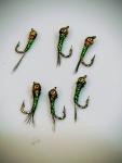 Rainbow Warrior Zebra Midge Trout Fly Set of 6