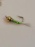 Rainbow Warrior Zebra Midge Trout Fly Set of 6