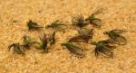 Hen & Olive Nymph Flies - 1 Dozen Set