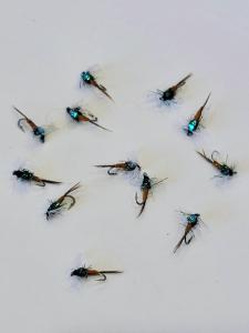 BWO Pheasant Tail Flashback Nymphs - Size 20