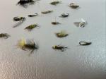 Trout Nymph Fly Assortment - 15 Varies Sizes