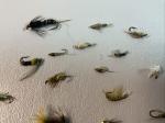 Trout Nymph Fly Assortment - 15 Varies Sizes