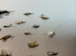 Trout Nymph Fly Assortment - 15 Varies Sizes