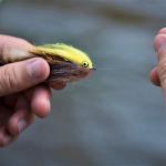 Streamers for Trout, Bass, Pike | Size 2 (8 Pack)