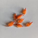 12 Pack Orange Scud Nymphs Size 12 Trout Flies