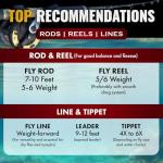 RoxStar Fly Shop Trophy Trout 24pk: Top Flies