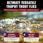 RoxStar Fly Shop Trophy Trout 24pk: Top Flies
