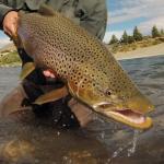 Irideus Soft Hackle Nymph Flies for Trout