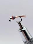 Rainbow Warrior Tungsten Nymph Flies Size 14