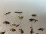Trout Nymph Fly Fishing Set - 20 Flies