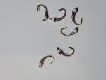 Rainbow Warrior Bead Head Nymph Trout Flies 6 Pack