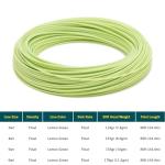 RIO Mainstream Trout Fly Line DT5F Lemon Green